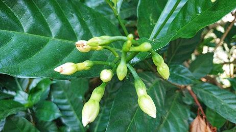 《众神陨落：终极版》大促再临，新史低惊喜五折仅64元发售