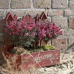 《主播女孩重度依赖》首月销量突破30万套 官方推出line表情包