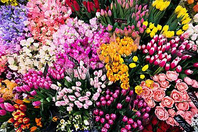 《碧蓝幻想Versus：崛起》11月发售 另有免费版